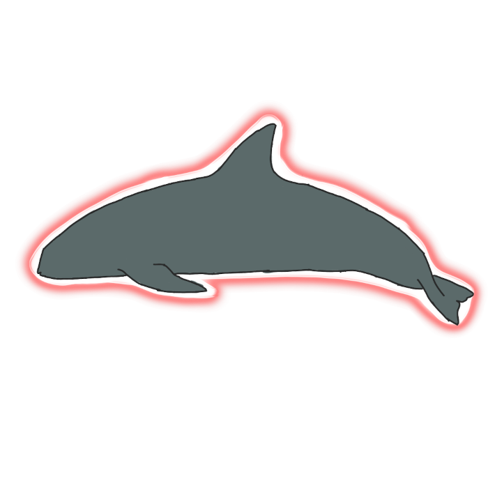 A silhouette of a vaquita with a red glowing outline around it.